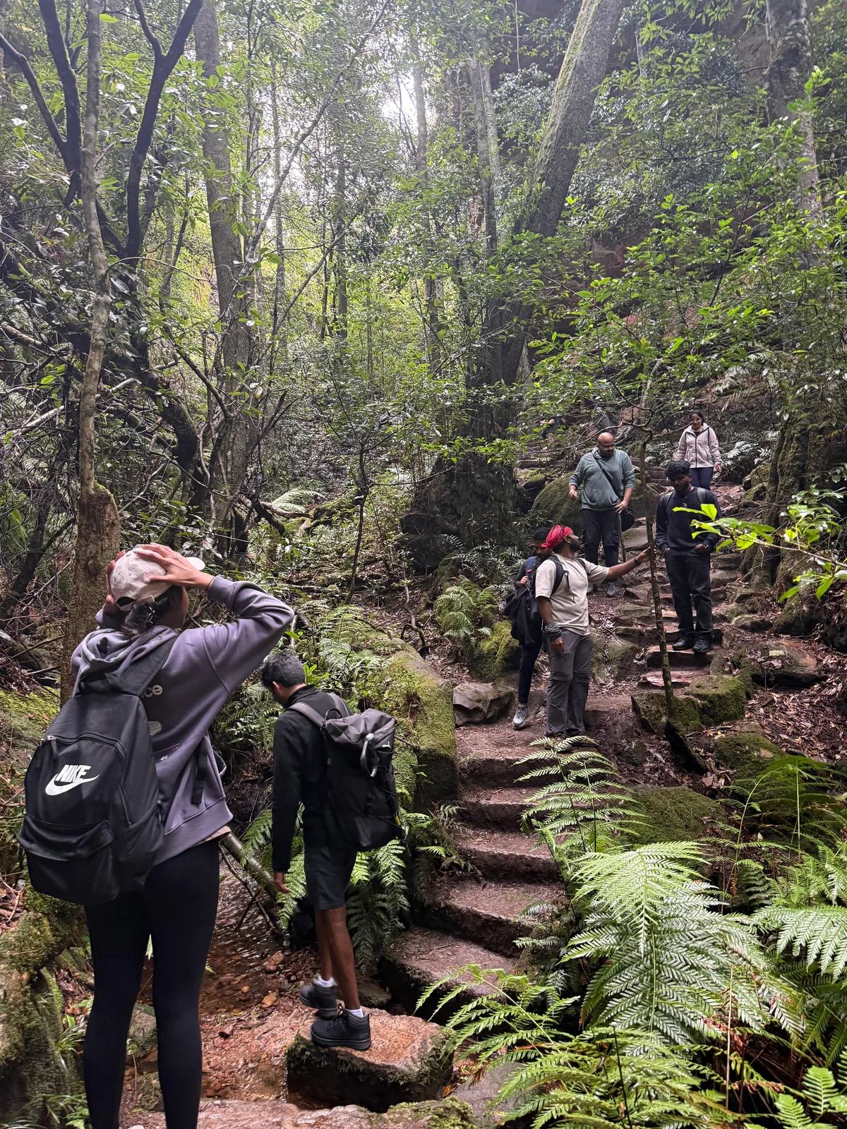 Hikers climbing mossy stone steps through dense forest